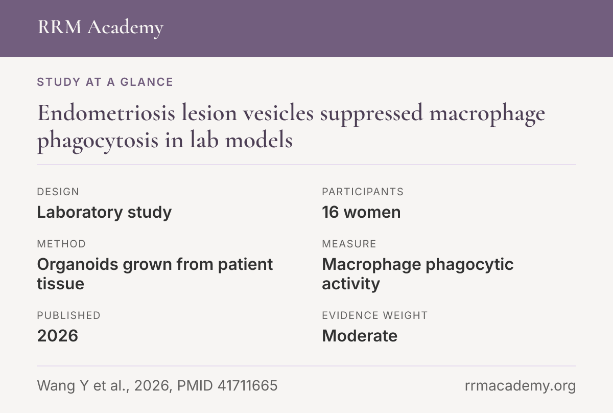 Study at a glance, laboratory study: Endometriosis lesion vesicles suppressed macrophage phagocytosis in lab models