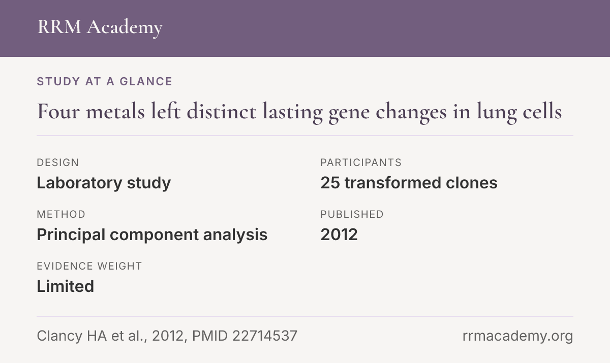 Study at a glance, laboratory study of 25 transformed clones: Four metals left distinct lasting gene changes in lung cells