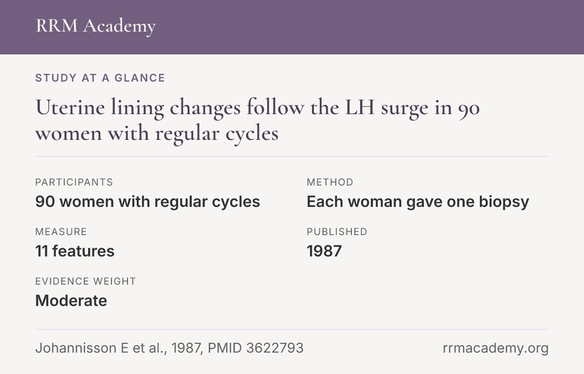 Study at a glance: Uterine lining changes follow the LH surge in 90 women with regular cycles