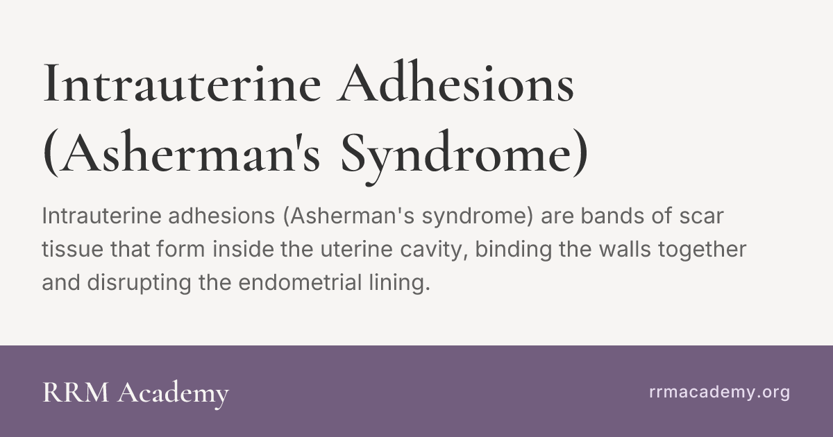 Intrauterine Adhesions (Asherman's Syndrome) | RRM Glossary | RRM Academy