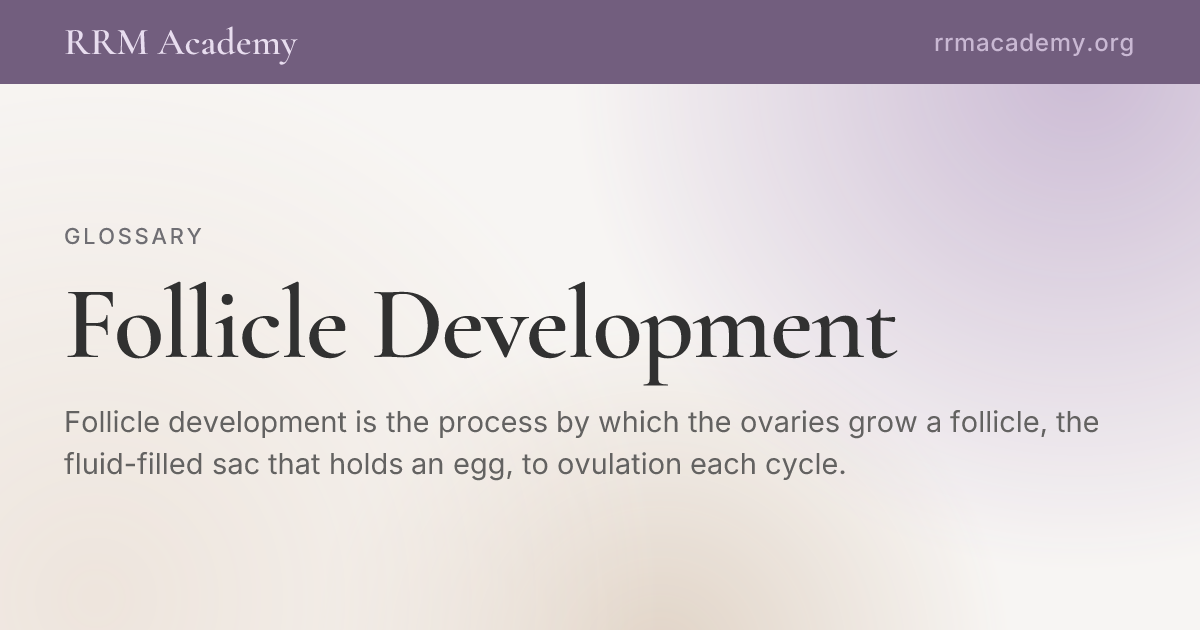 Follicle Development | RRM Glossary | RRM Academy