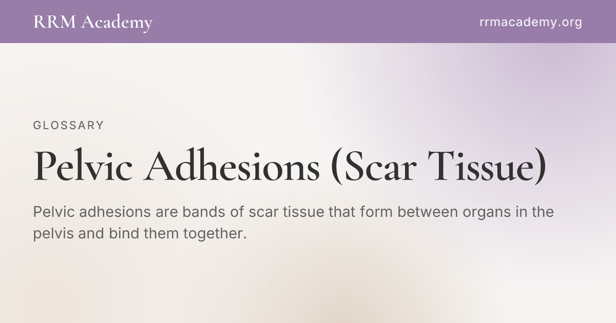 Pelvic Adhesions (Scar Tissue) | RRM Glossary | RRM Academy